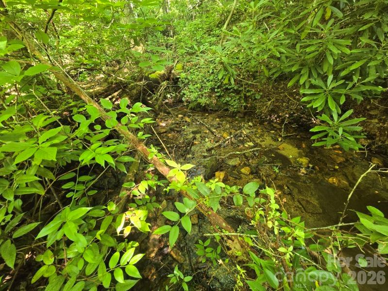 100/101 Ellicott Gap