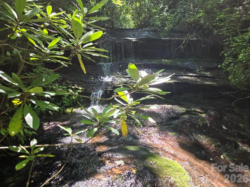 100/101 Ellicott Gap
