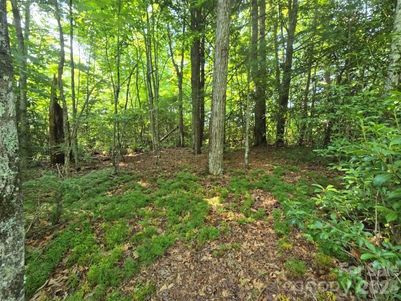 100/101 Ellicott Gap
