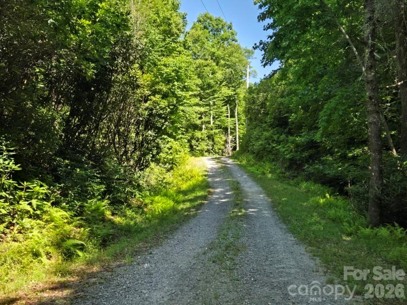 100/101 Ellicott Gap