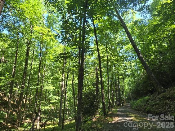 100/101 Ellicott Gap