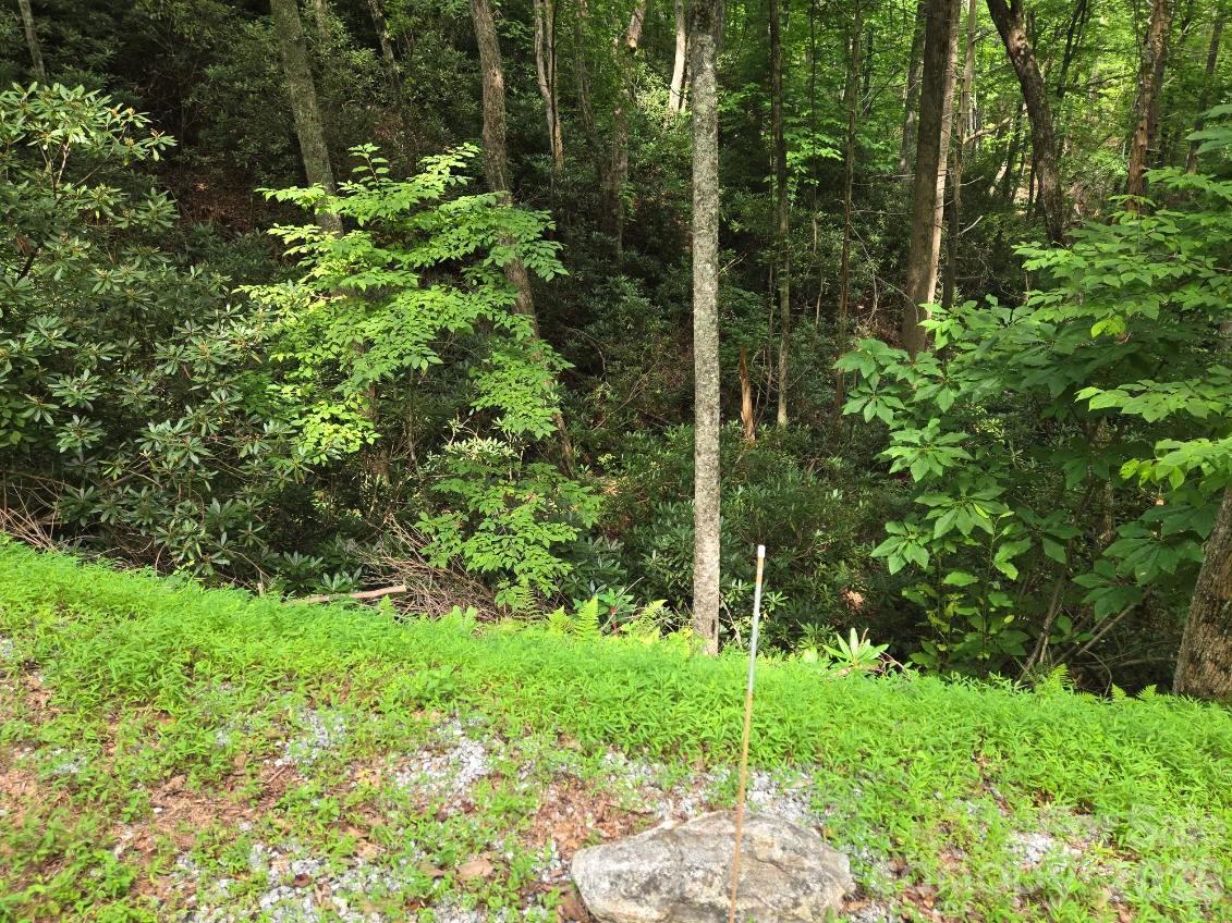 100/101 Ellicott Gap
