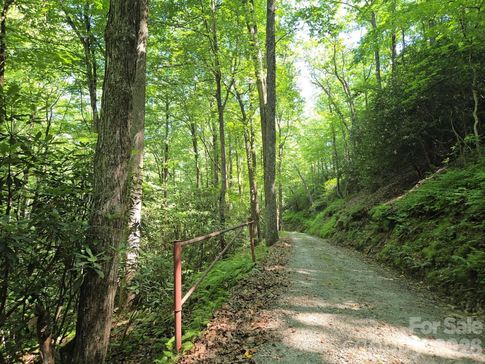 100/101 Ellicott Gap