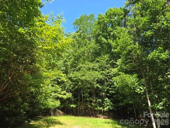 100/101 Ellicott Gap