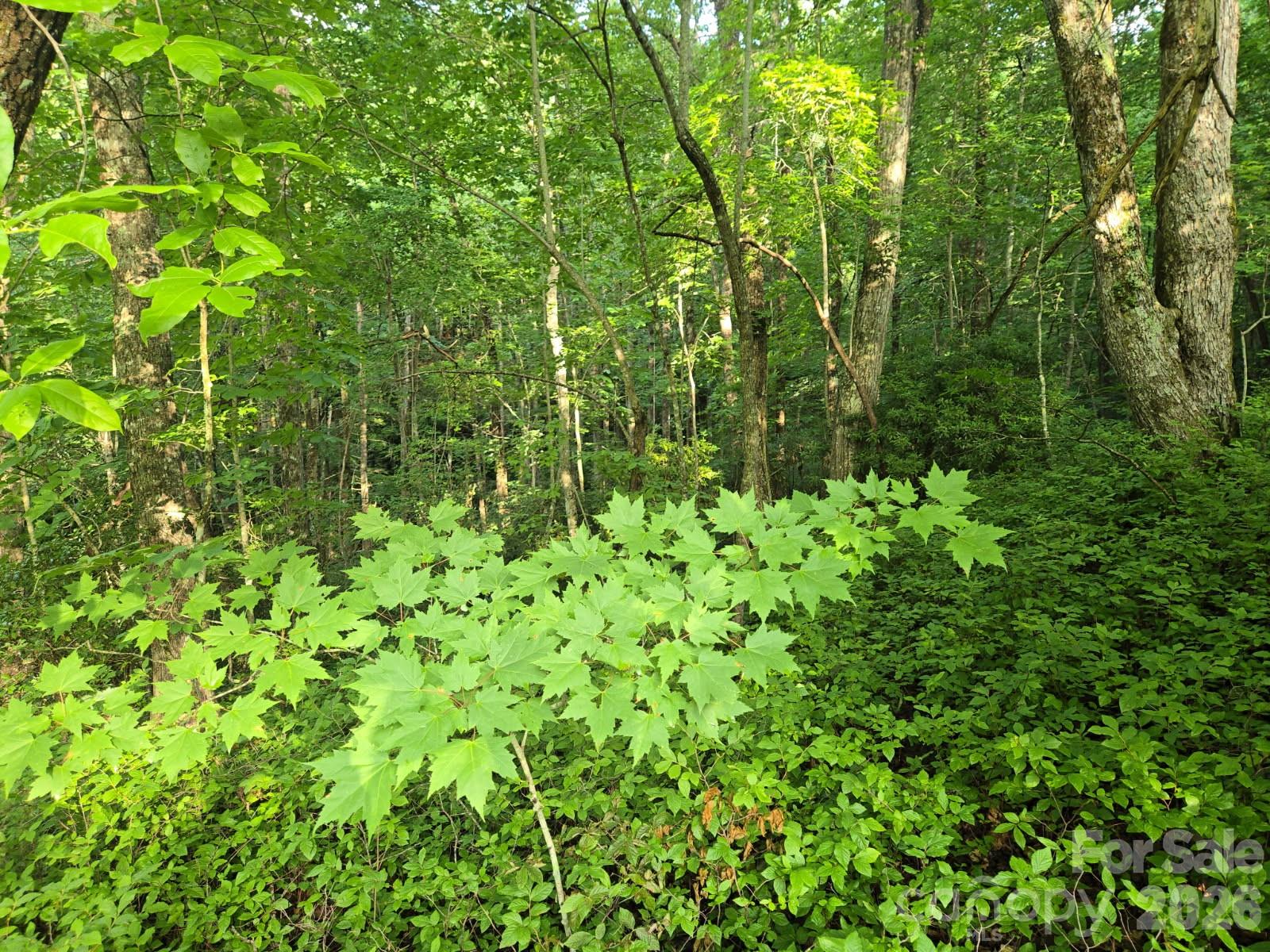 100/101 Ellicott Gap