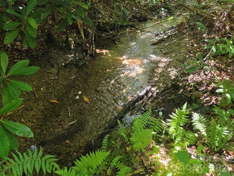 100/101 Ellicott Gap