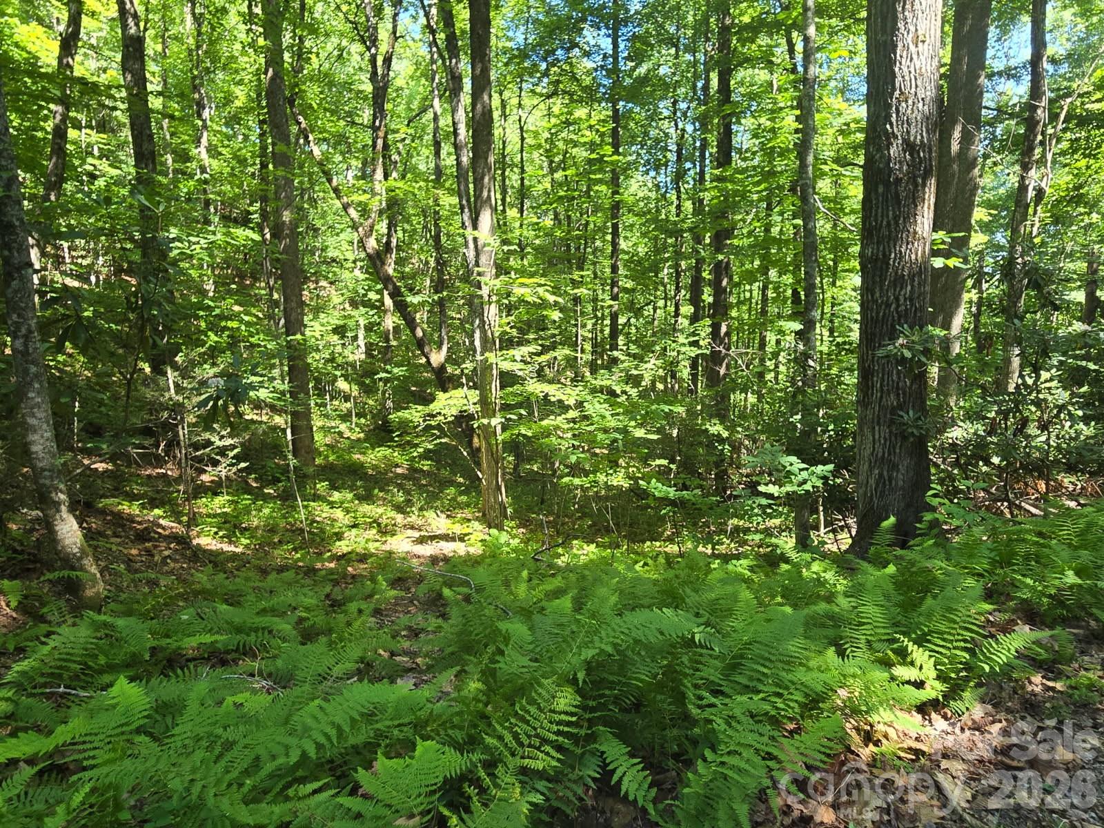 100/101 Ellicott Gap