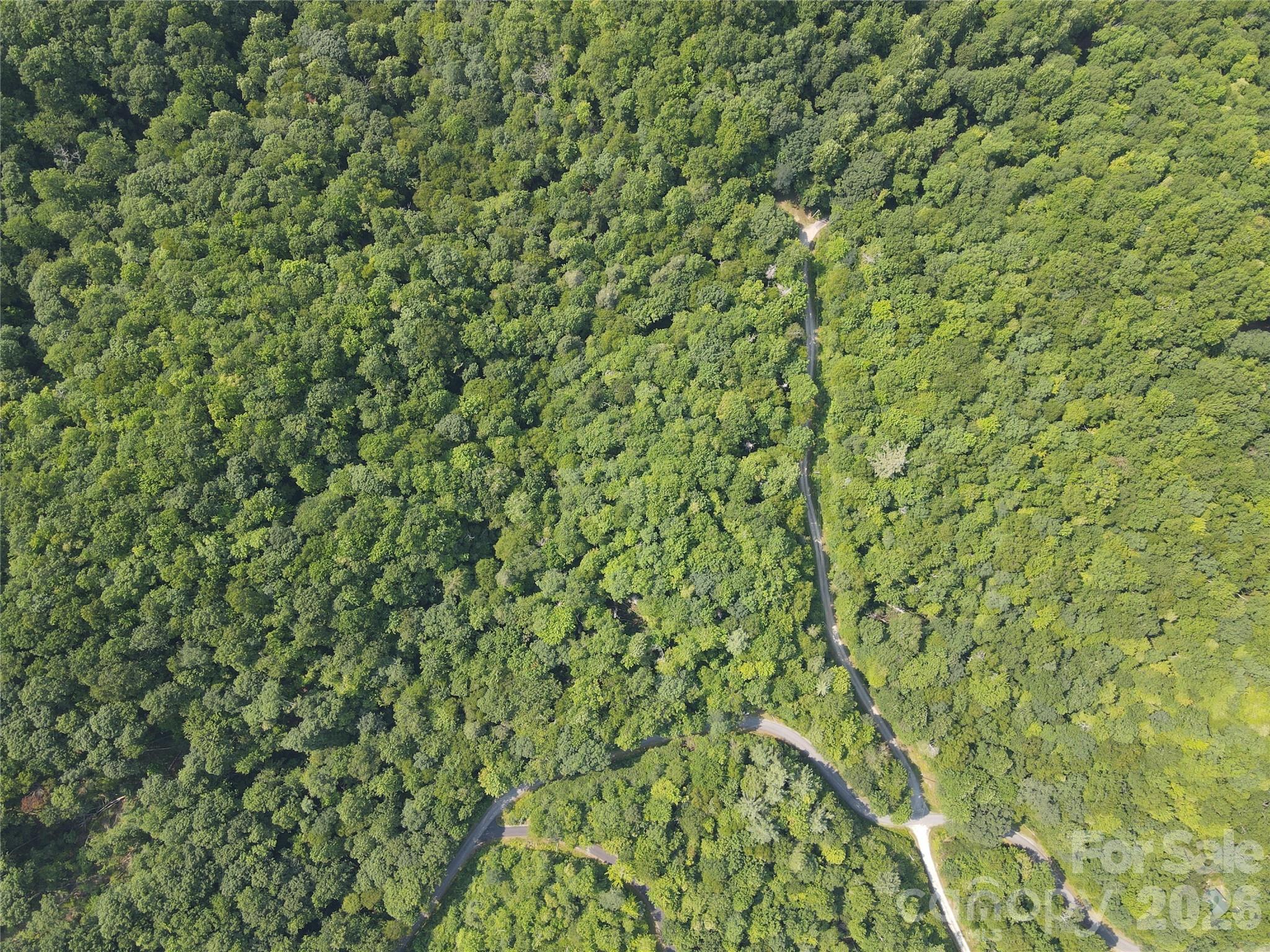 100/101 Ellicott Gap
