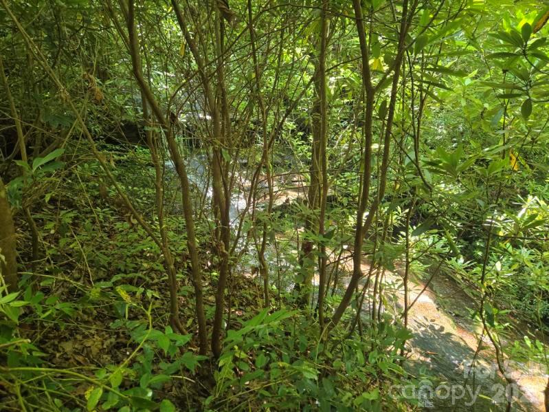 100/101 Ellicott Gap