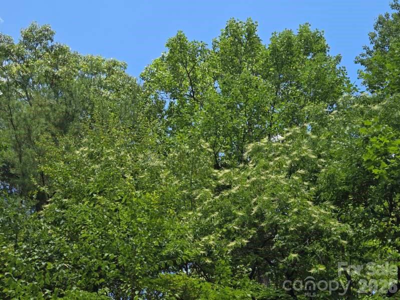 100/101 Ellicott Gap