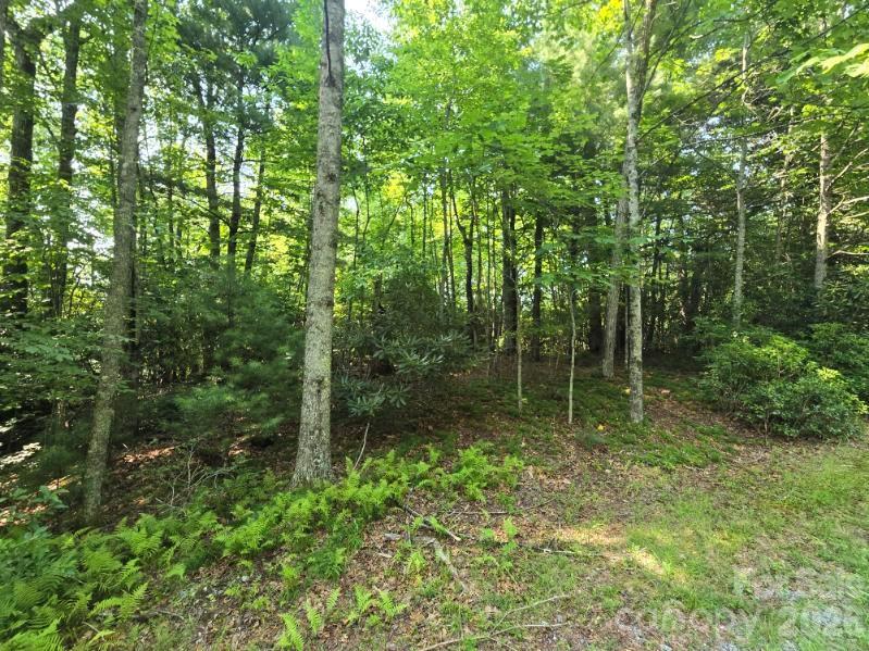 100/101 Ellicott Gap