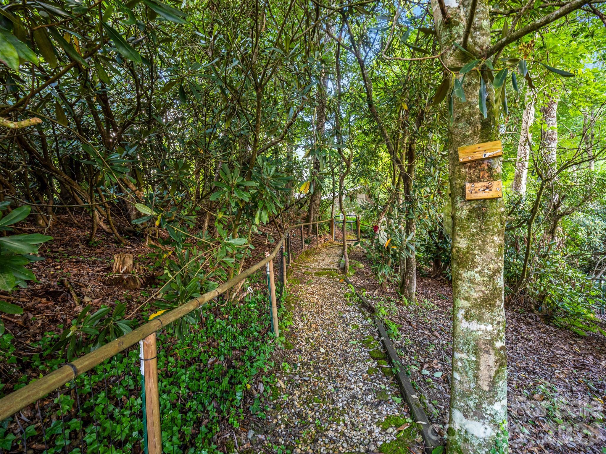 252 Middlemount Road