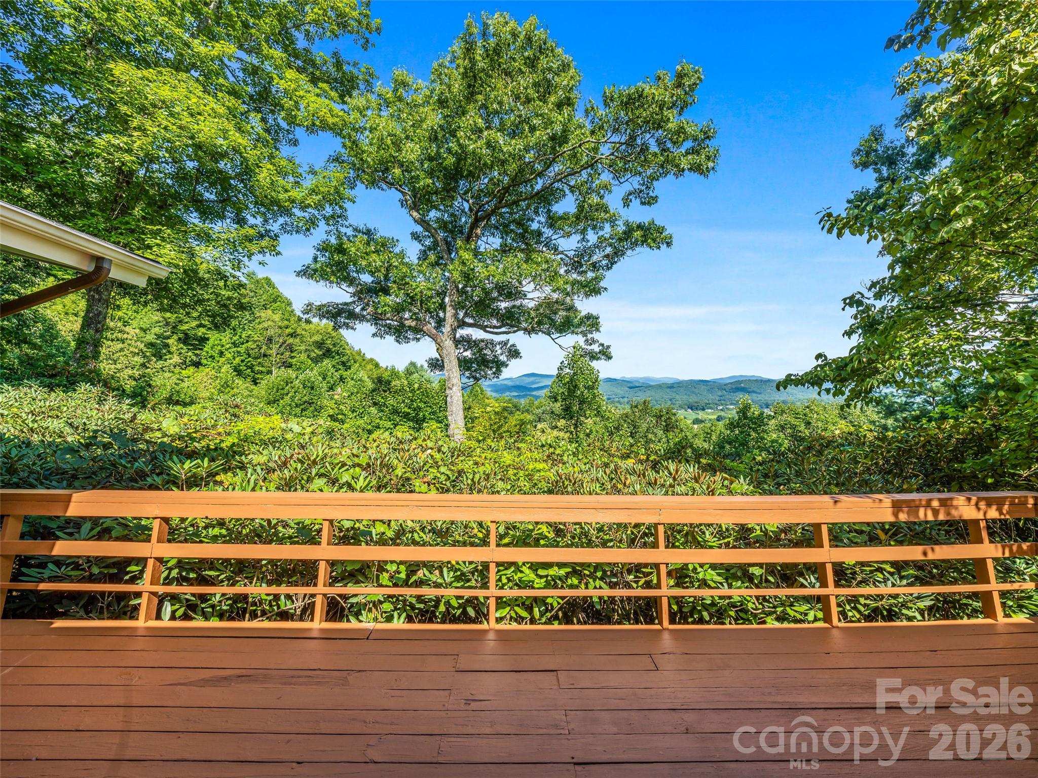 252 Middlemount Road