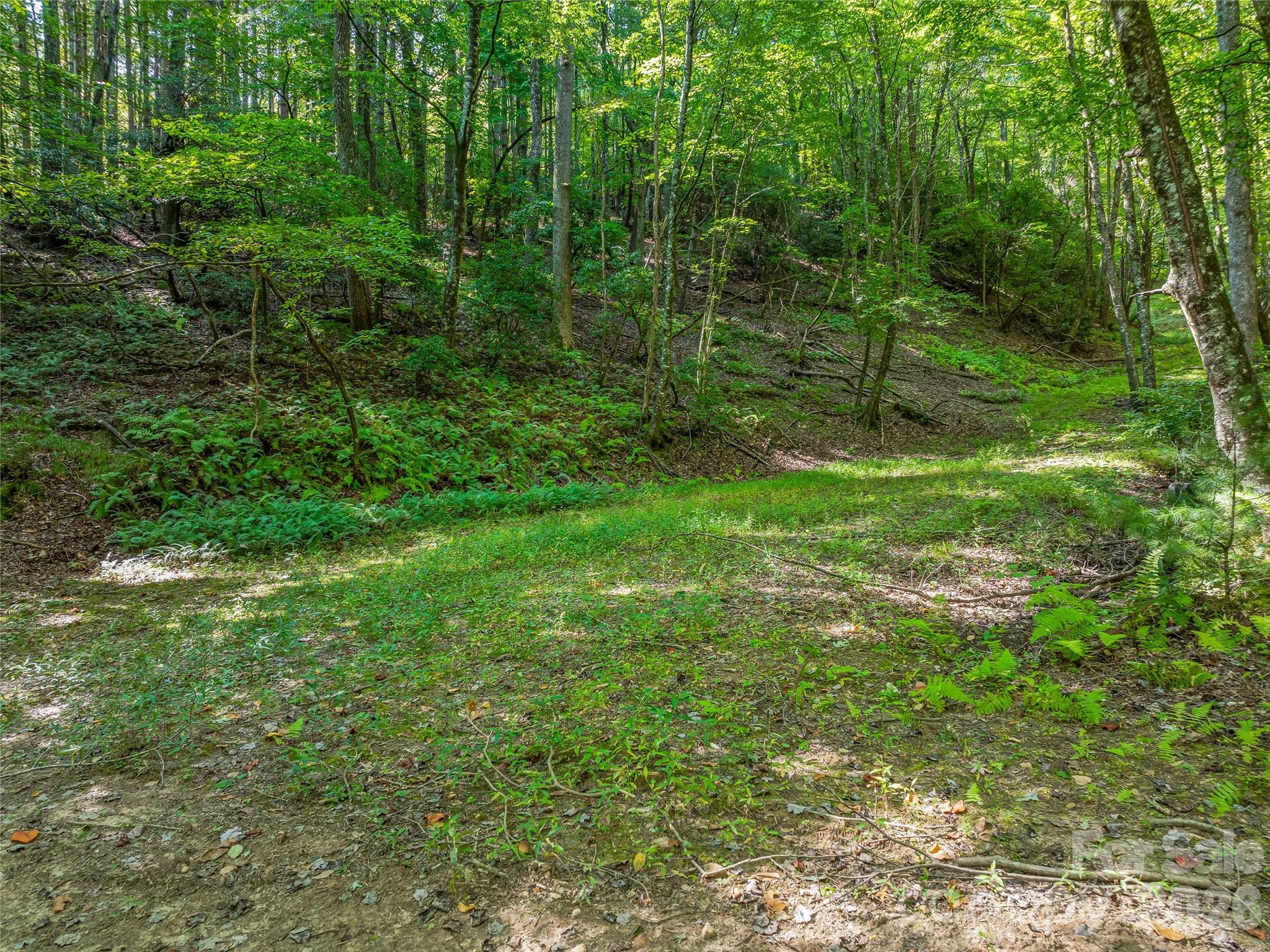 567 Davey Branch Road