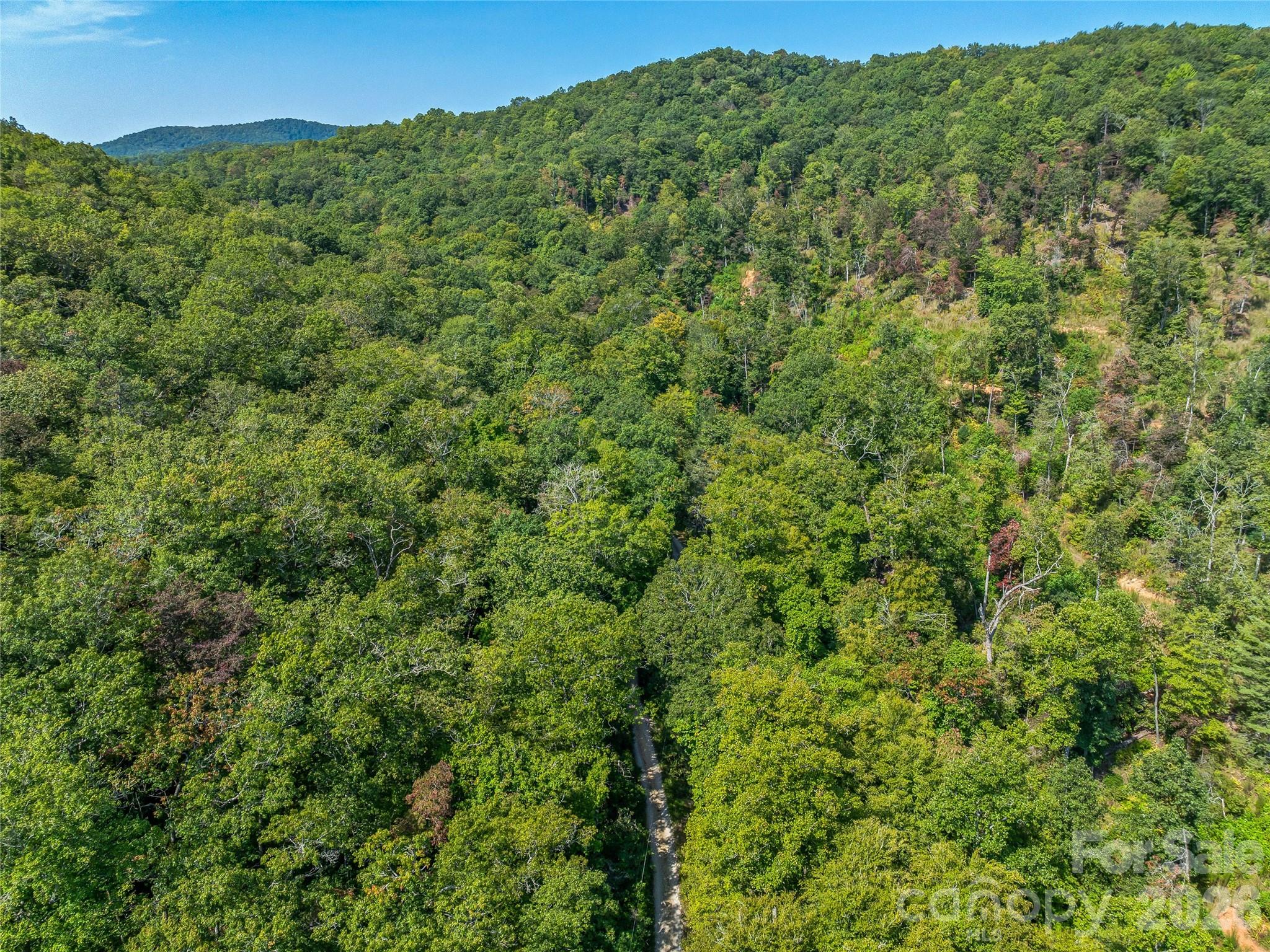 567 Davey Branch Road