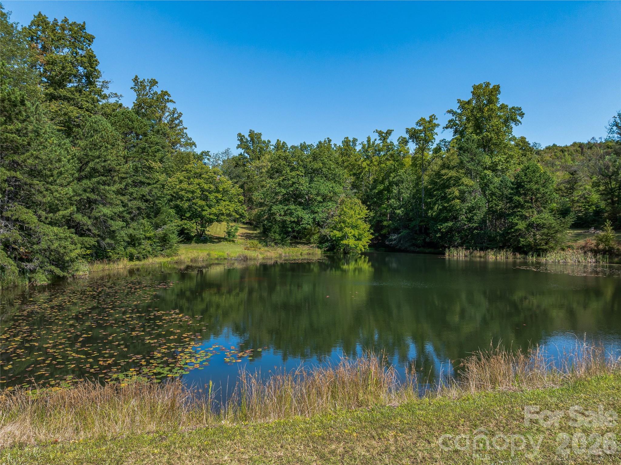 567 Davey Branch Road