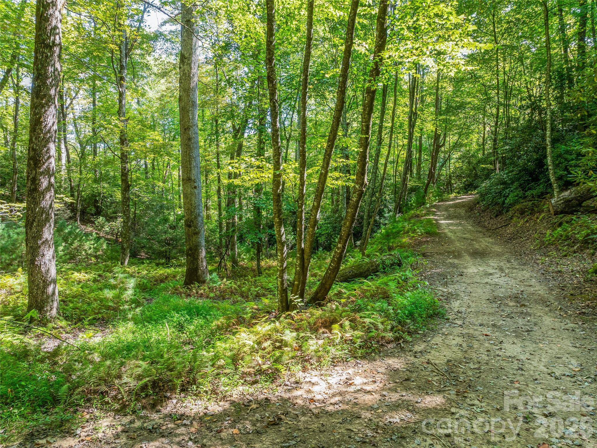 567 Davey Branch Road