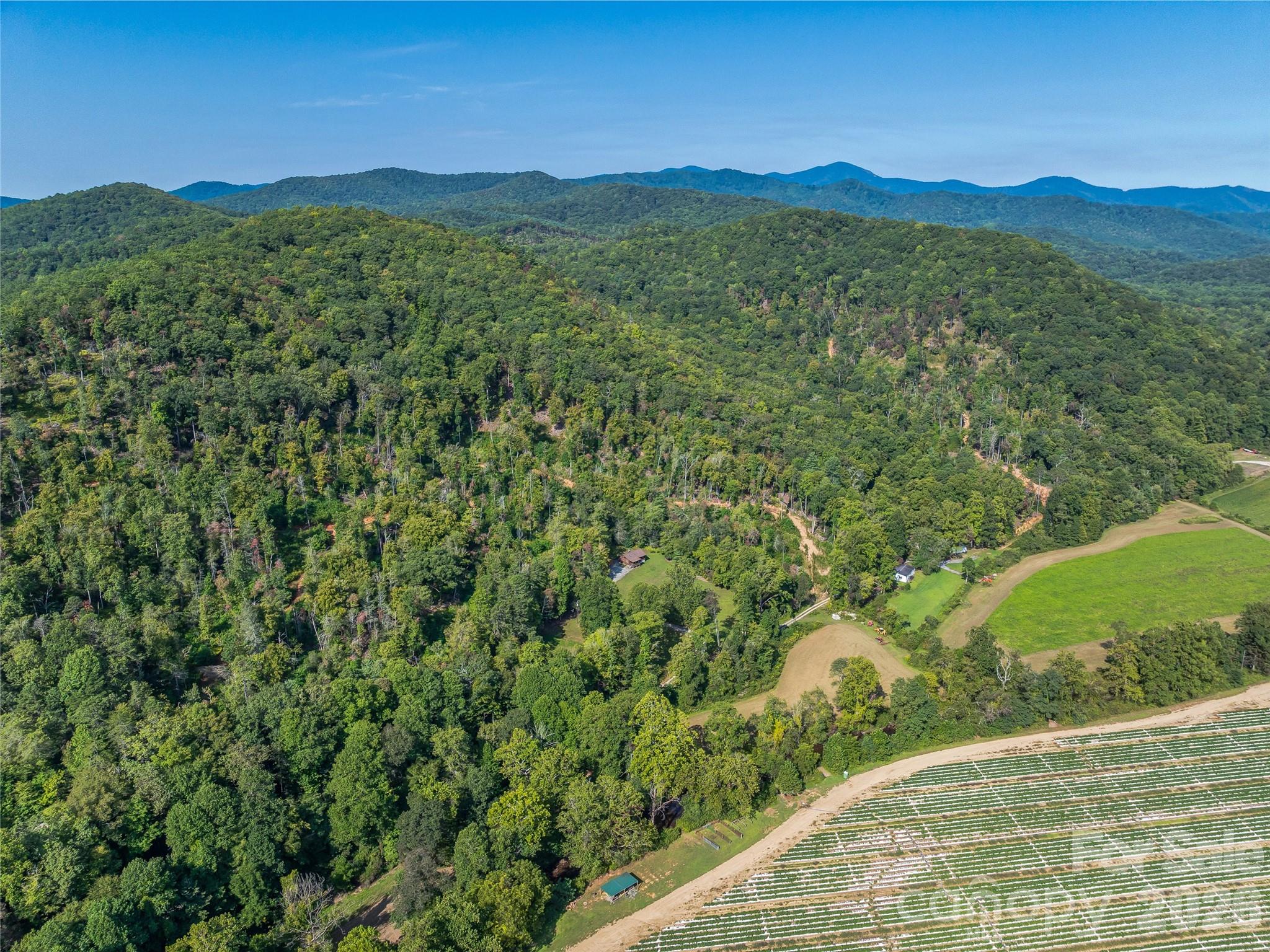 567 Davey Branch Road