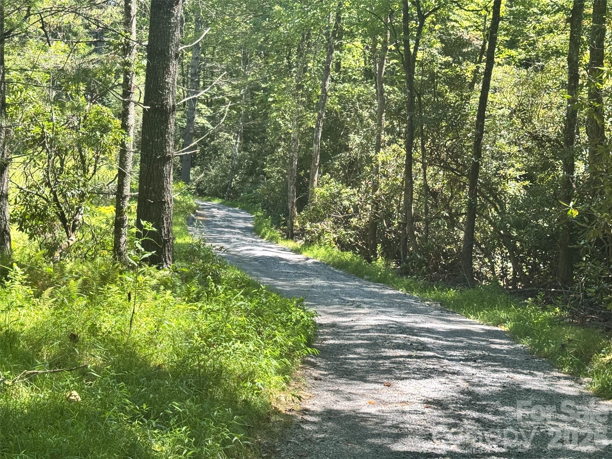 567 Davey Branch Road