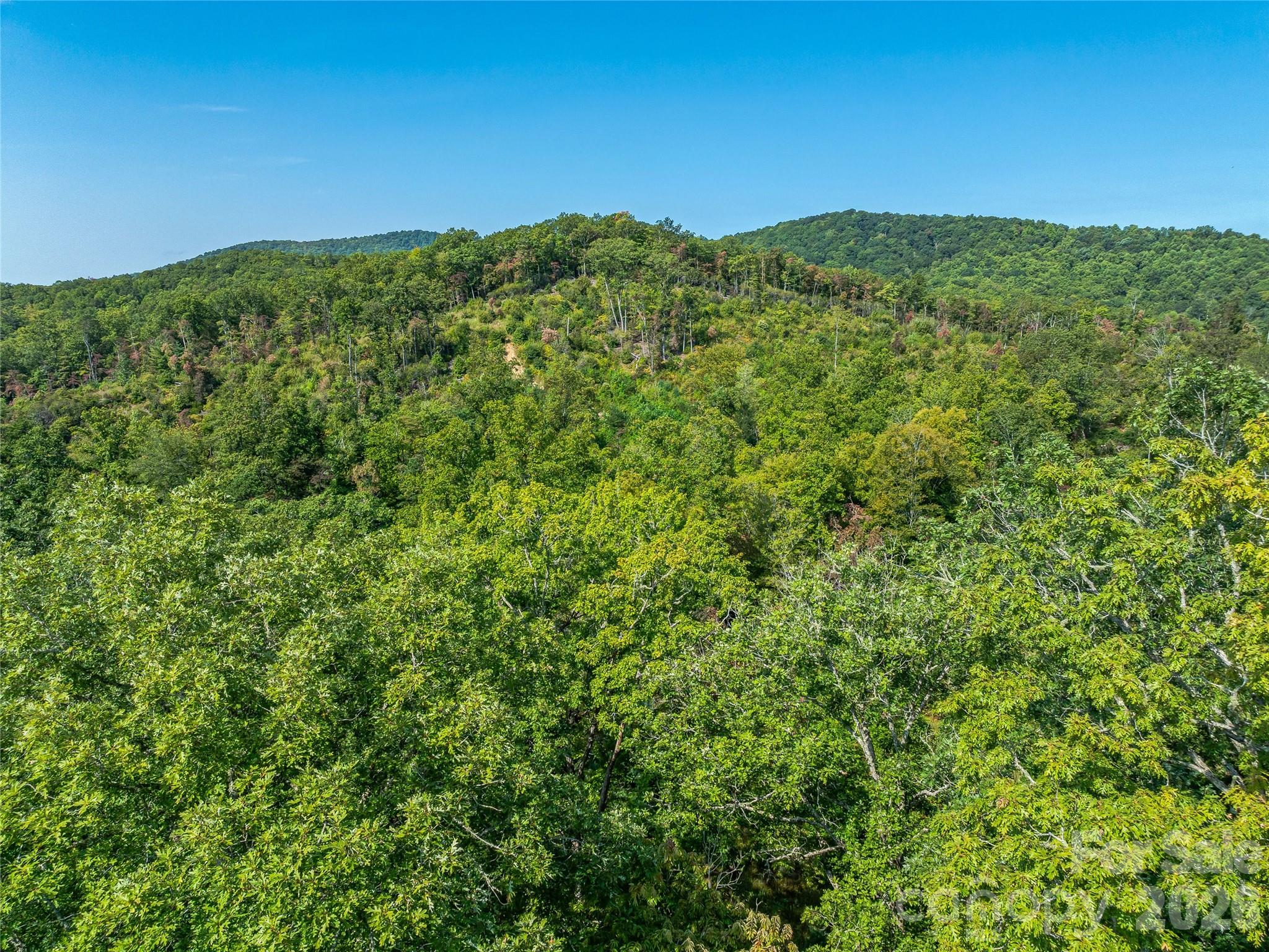 567 Davey Branch Road