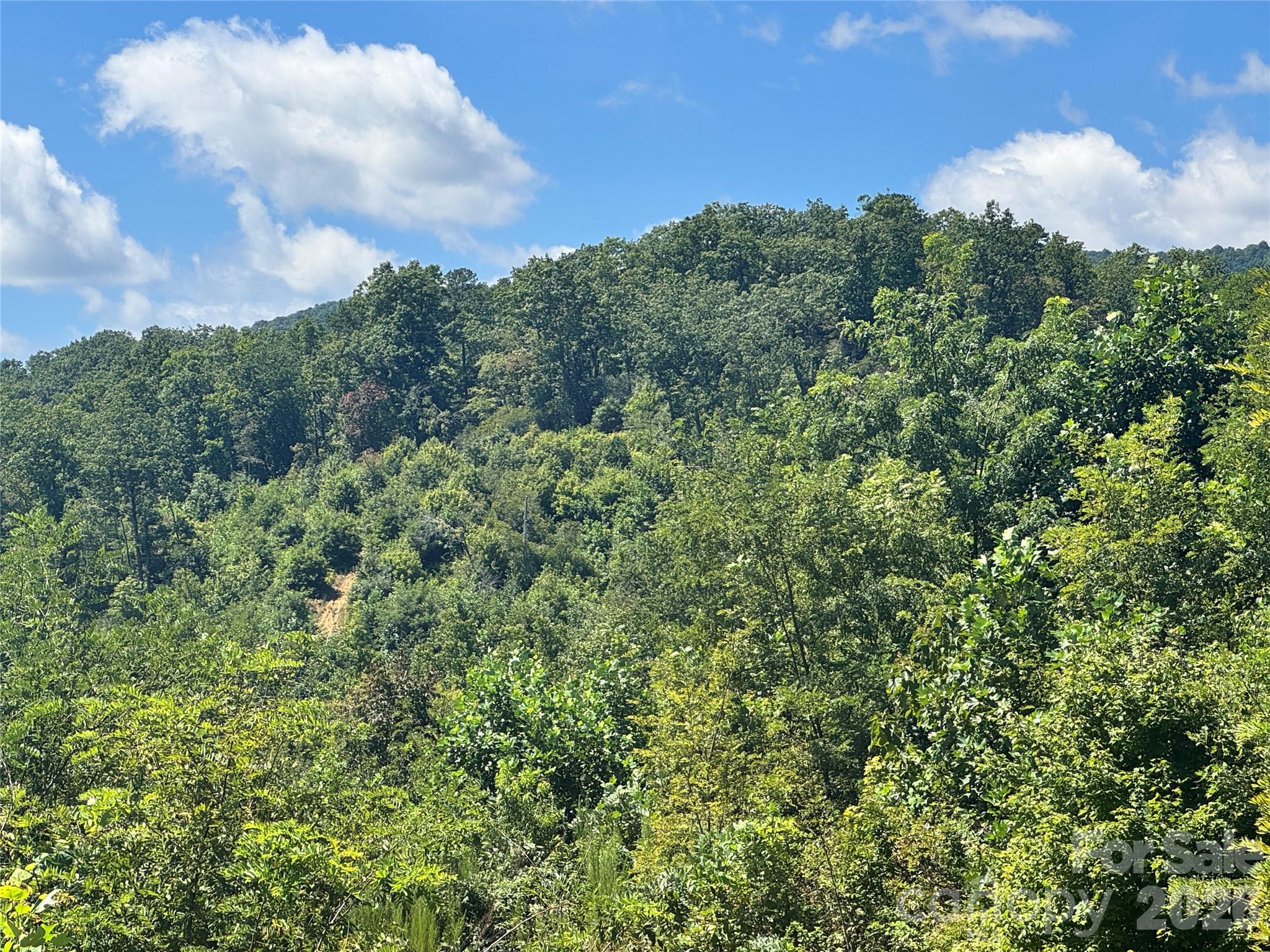 567 Davey Branch Road