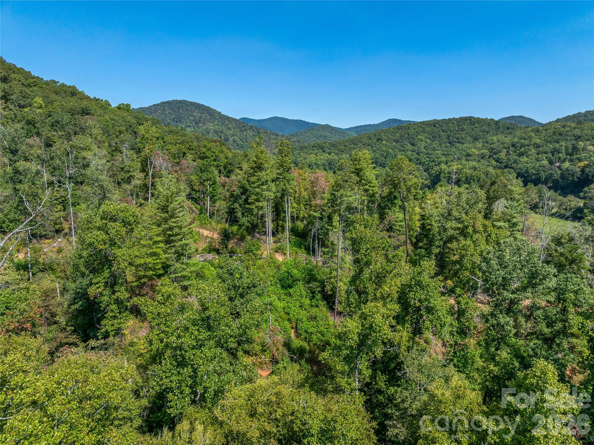 567 Davey Branch Road
