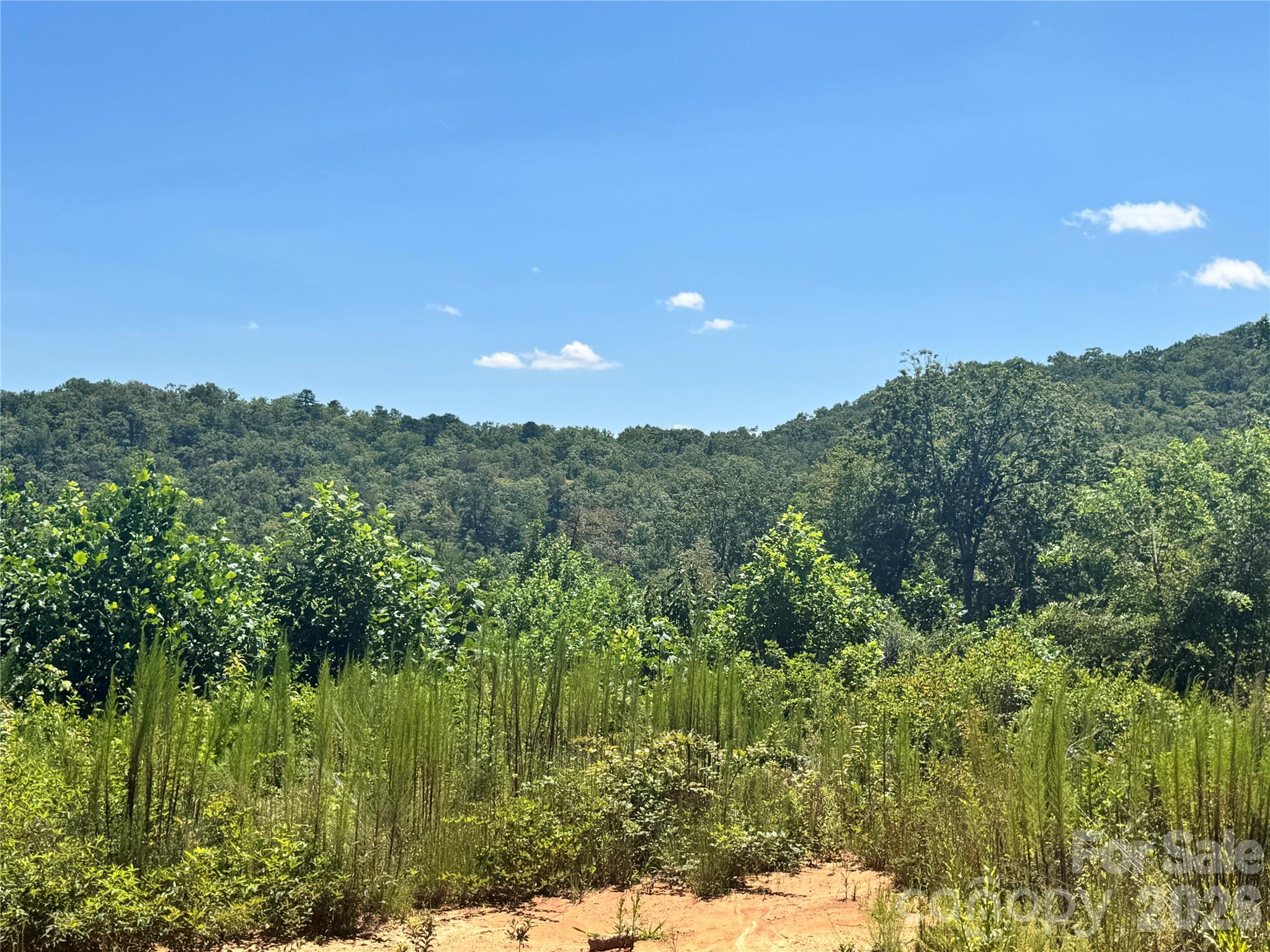 567 Davey Branch Road