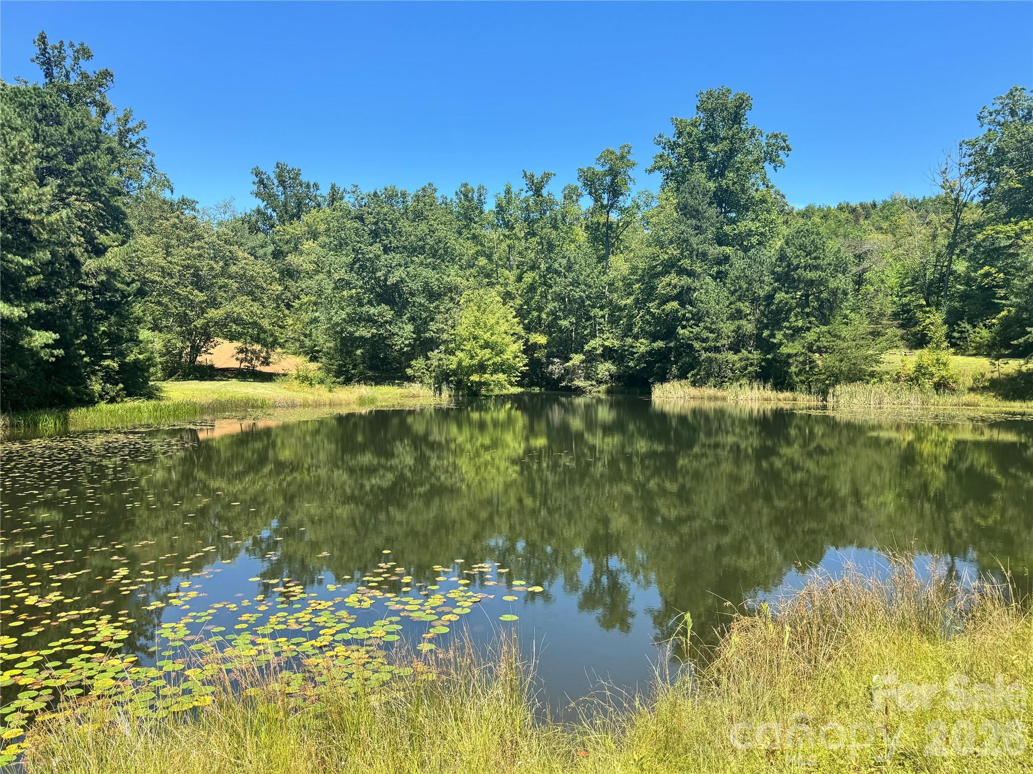567 Davey Branch Road