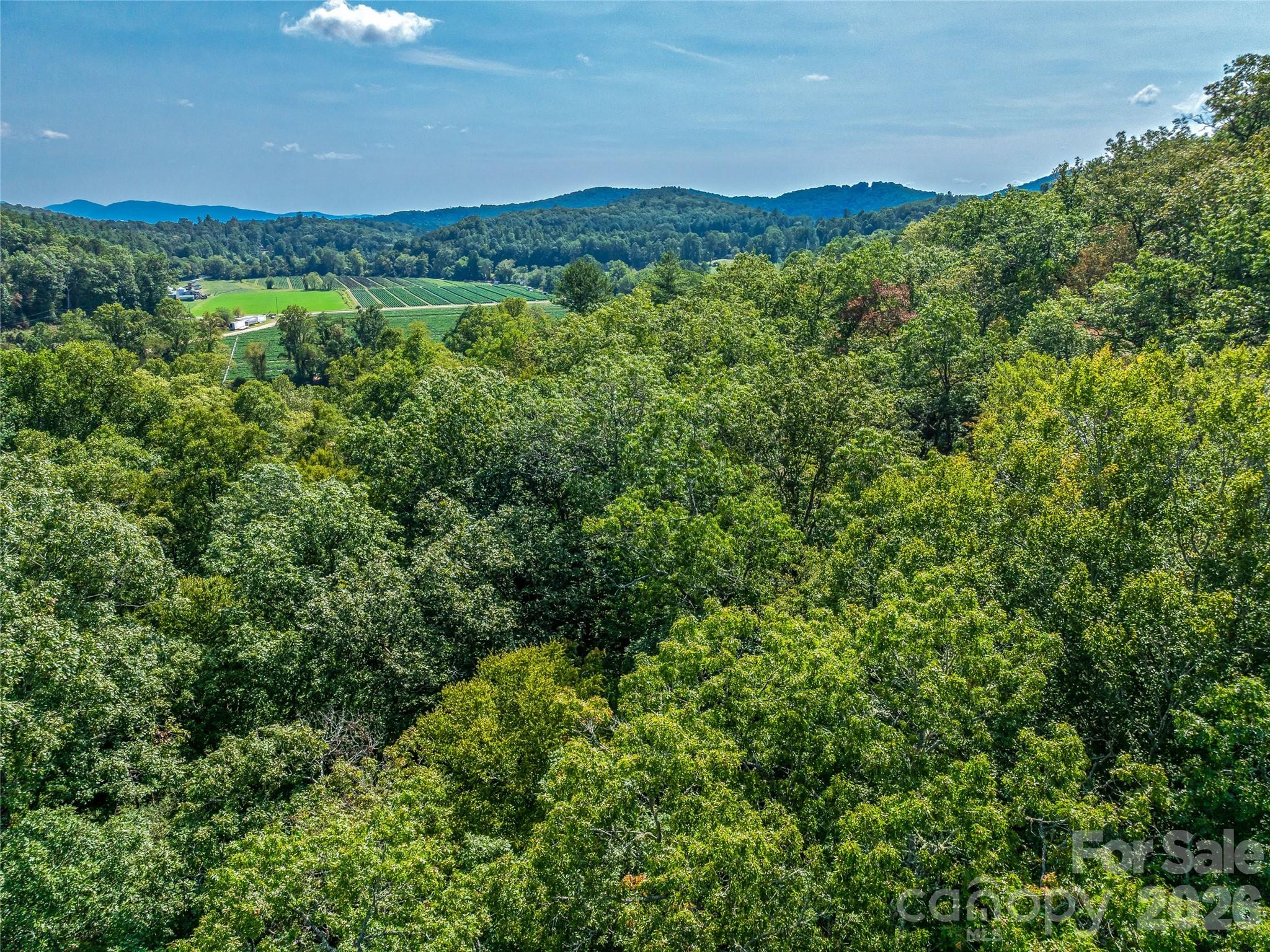 567 Davey Branch Road