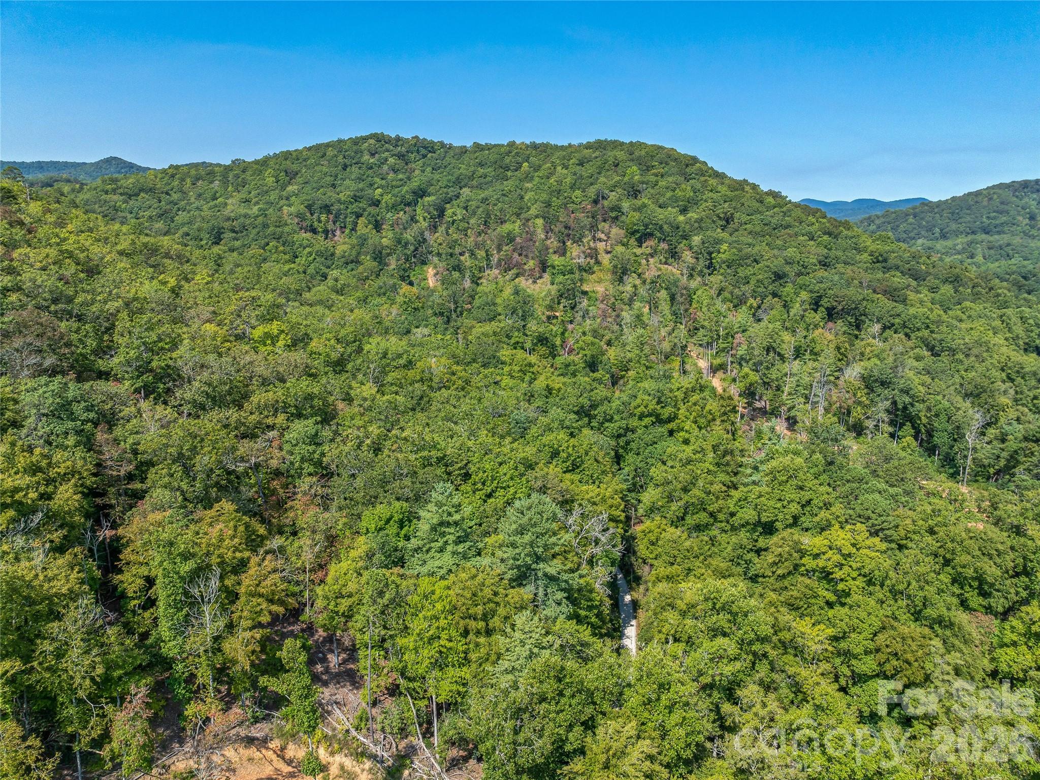 567 Davey Branch Road