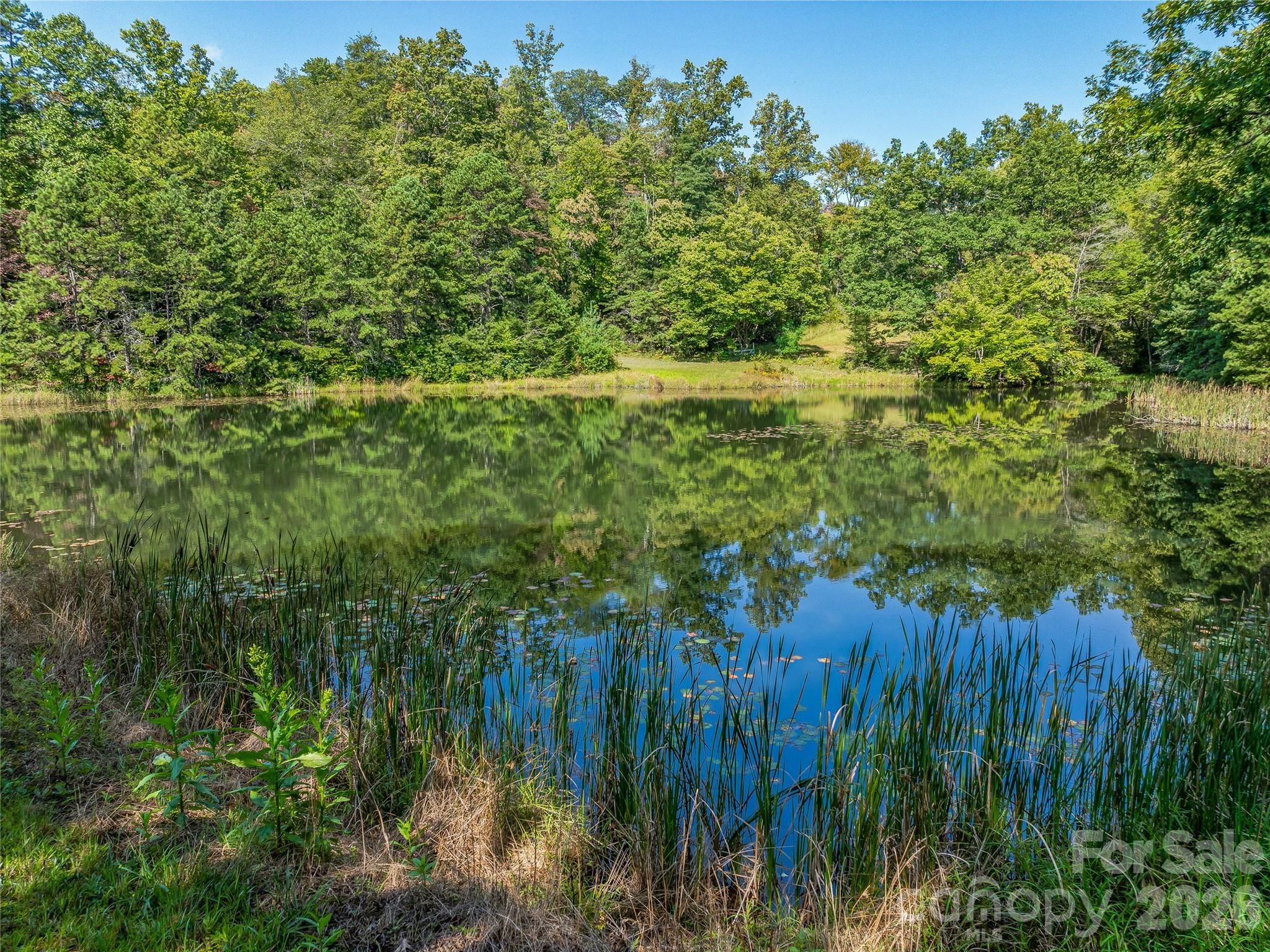 567 Davey Branch Road