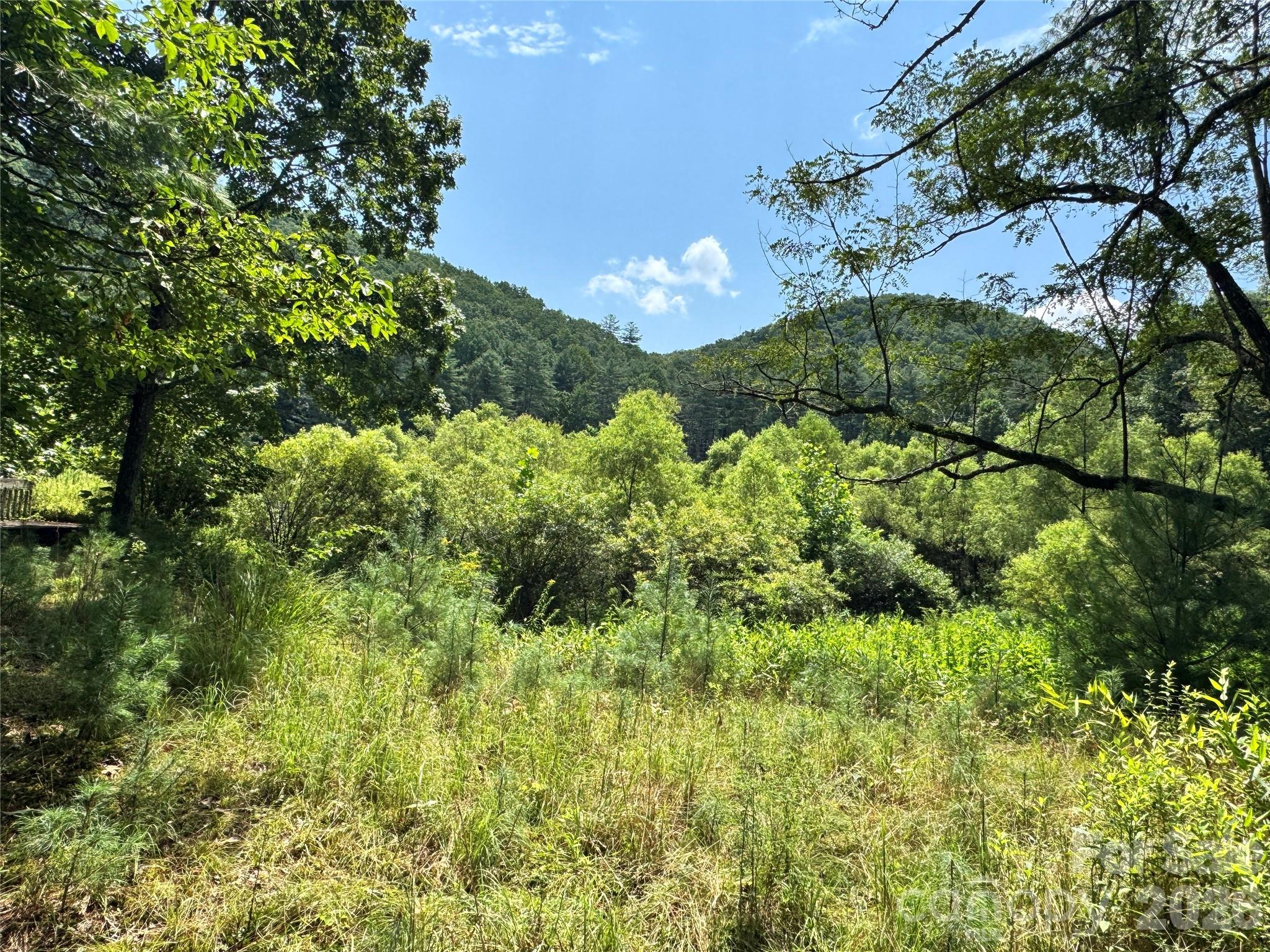361 Rooster Cove