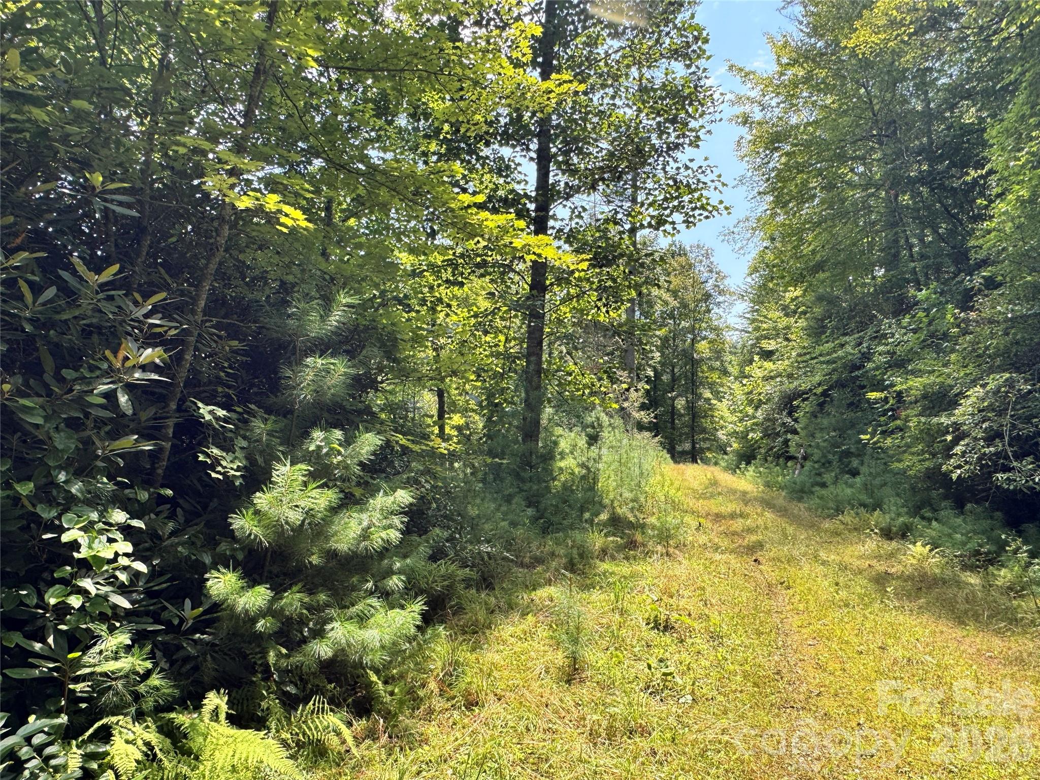 361 Rooster Cove