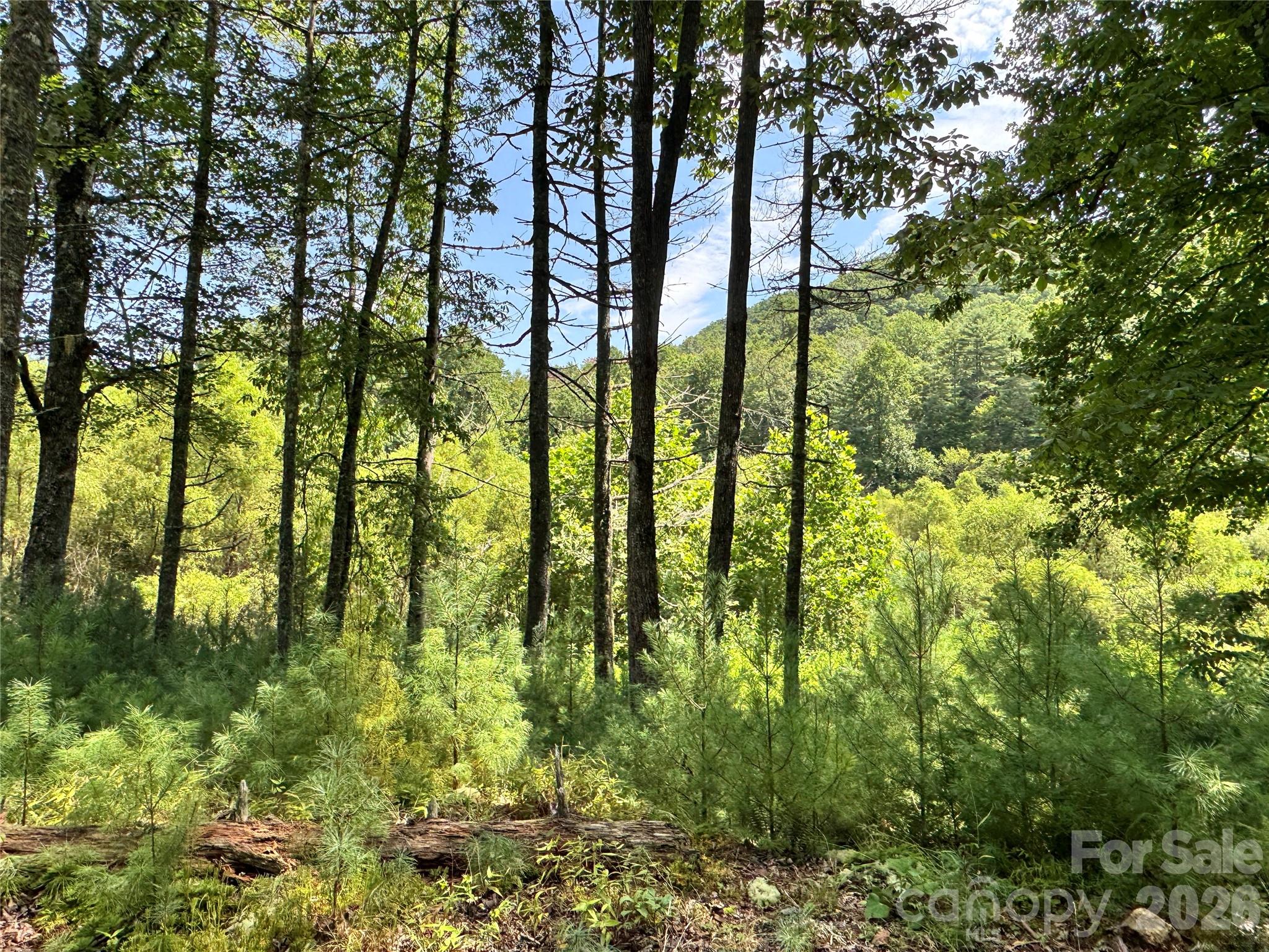 361 Rooster Cove