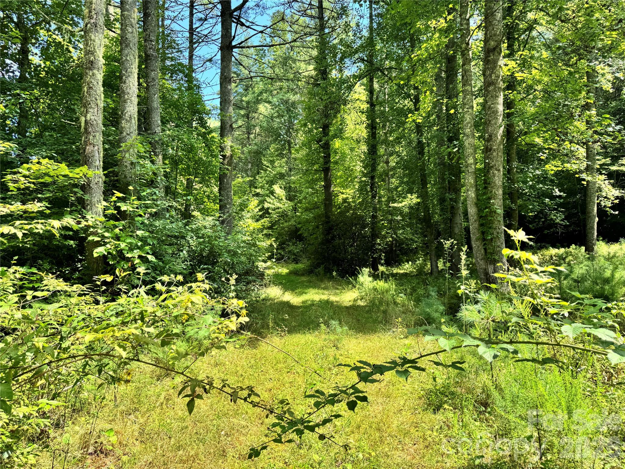 361 Rooster Cove
