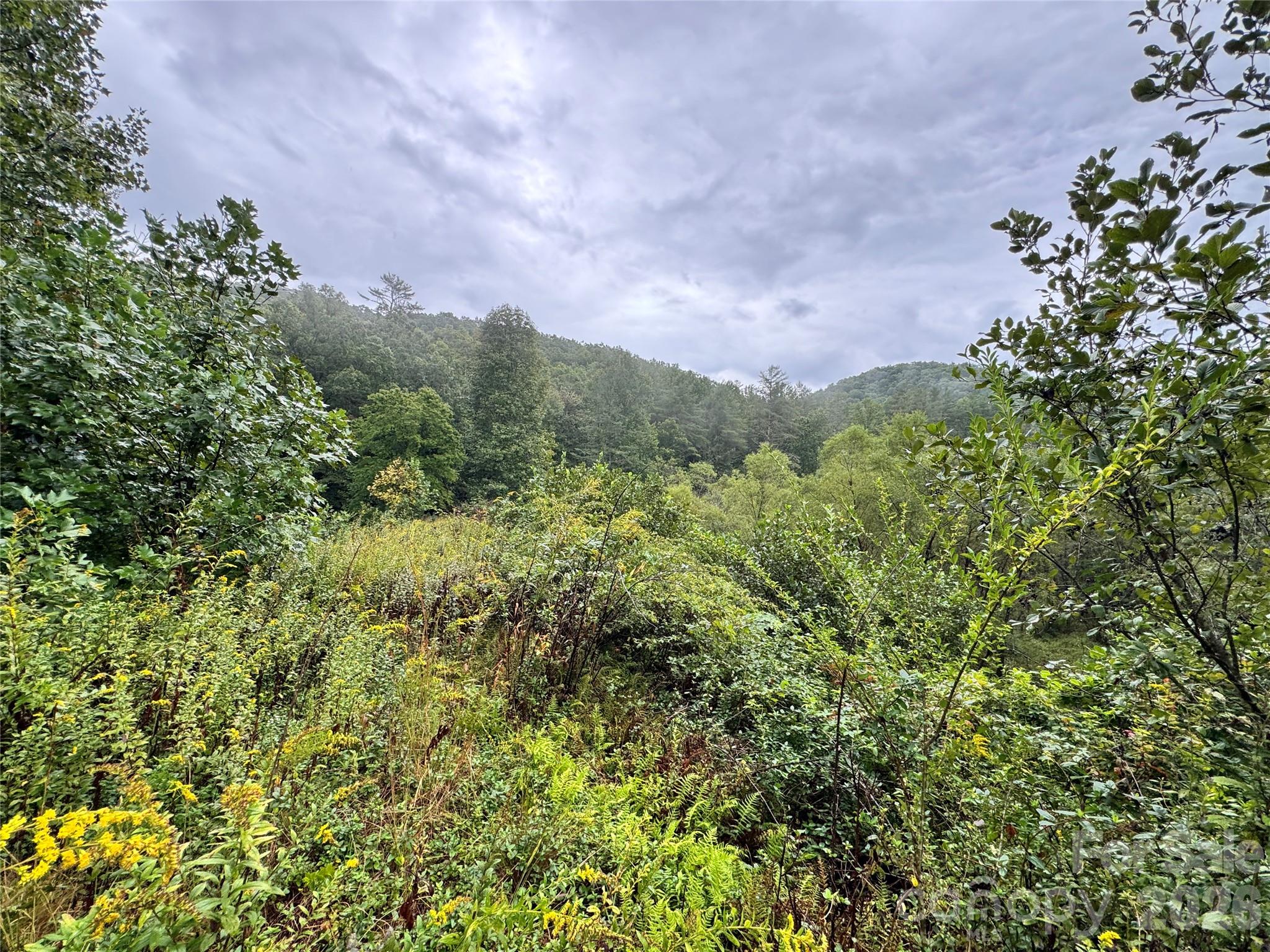 361 Rooster Cove