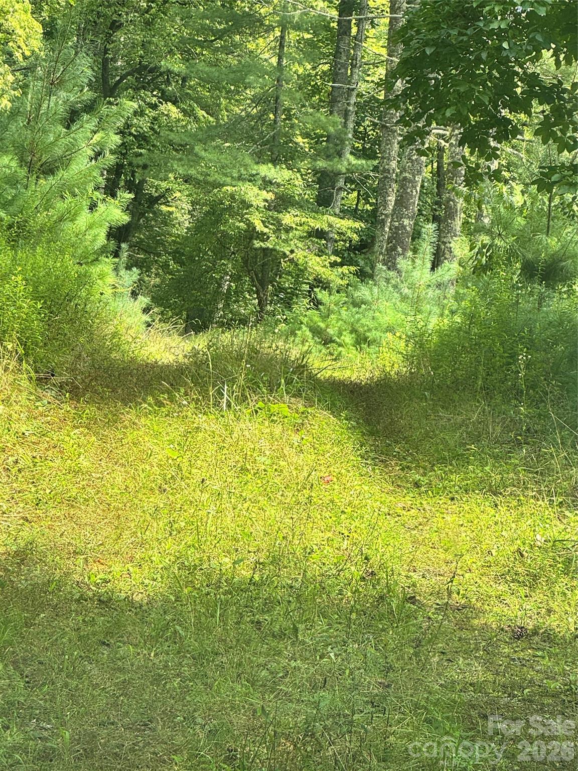 361 Rooster Cove