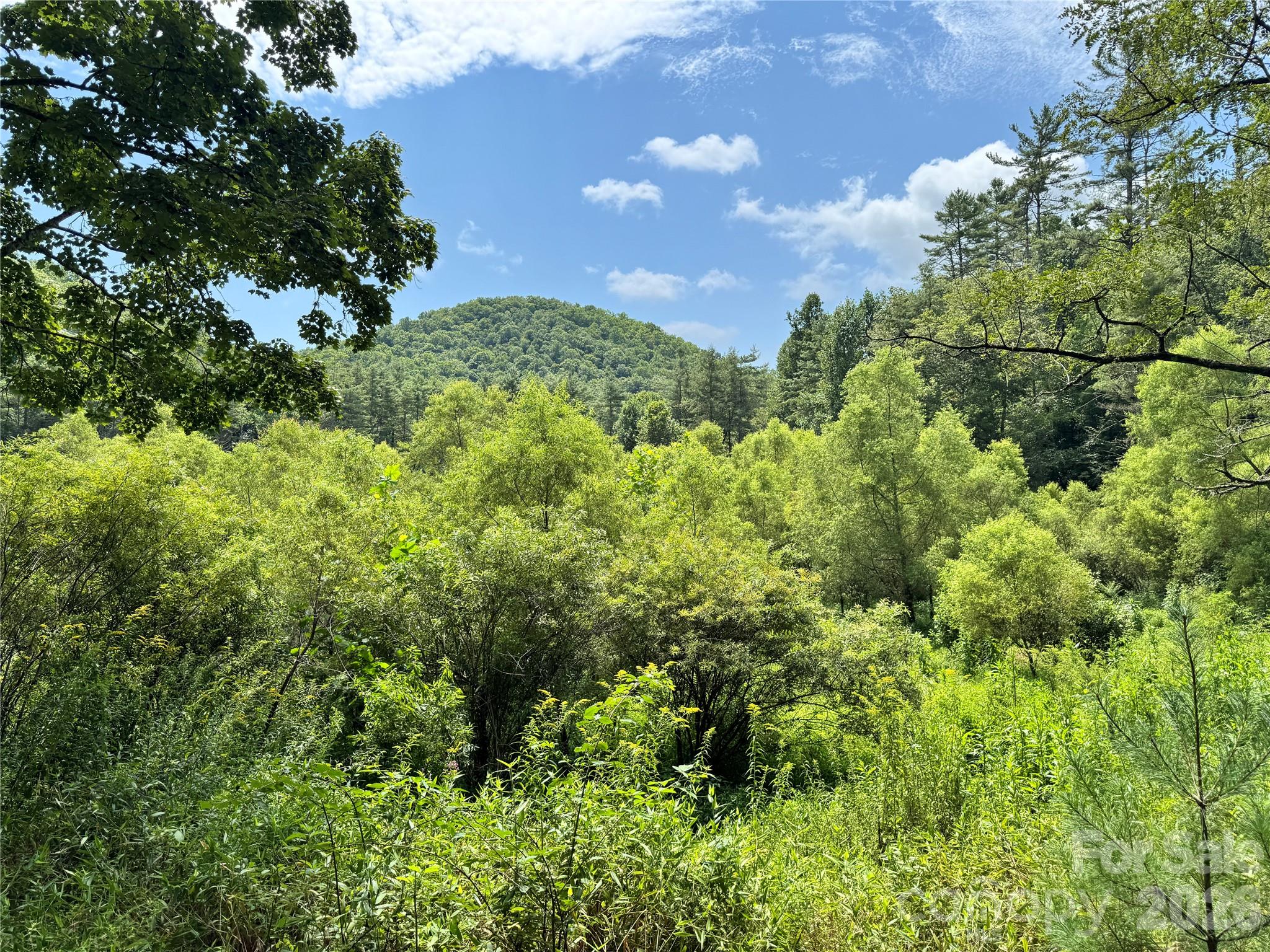 361 Rooster Cove