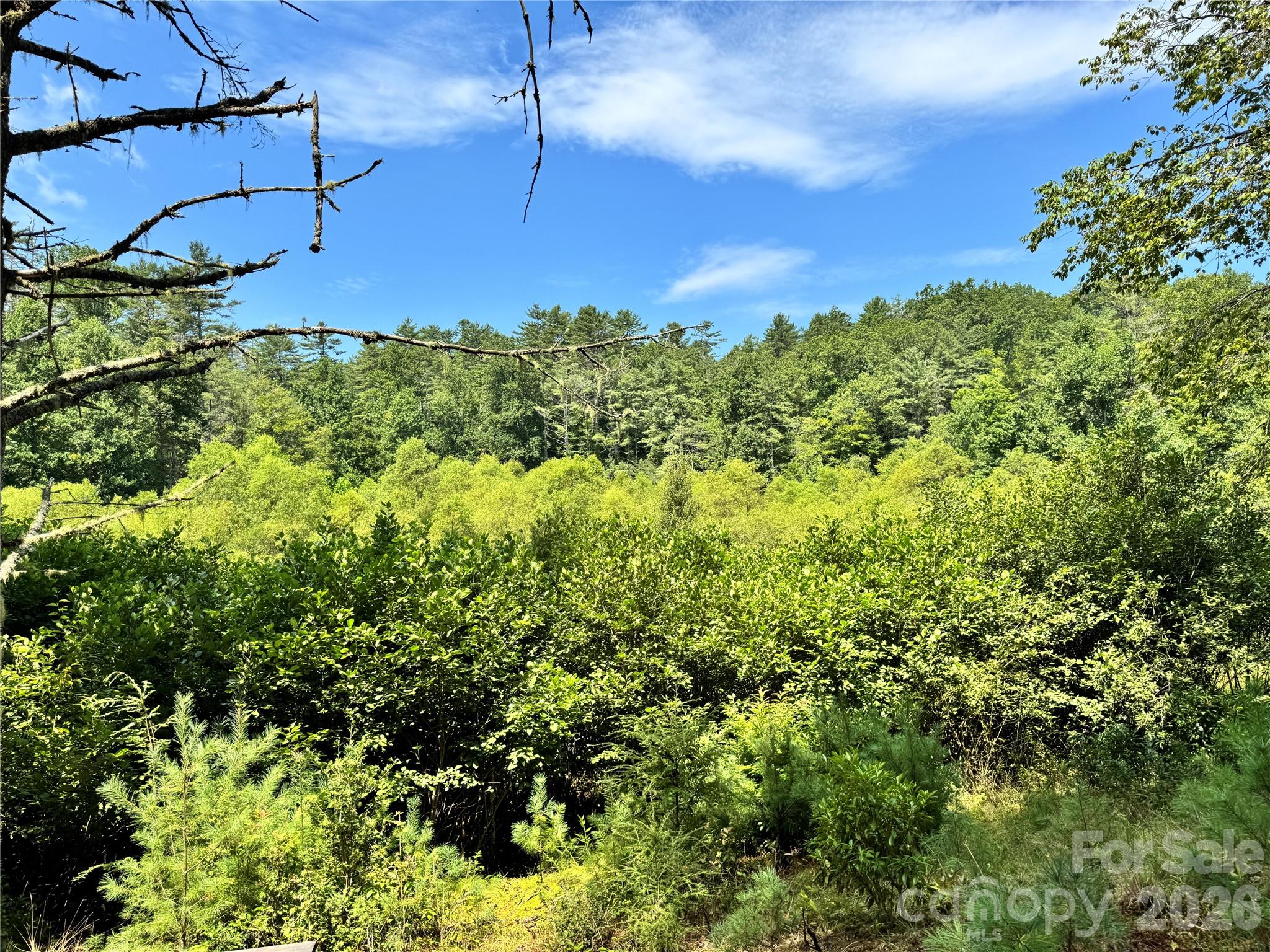 361 Rooster Cove