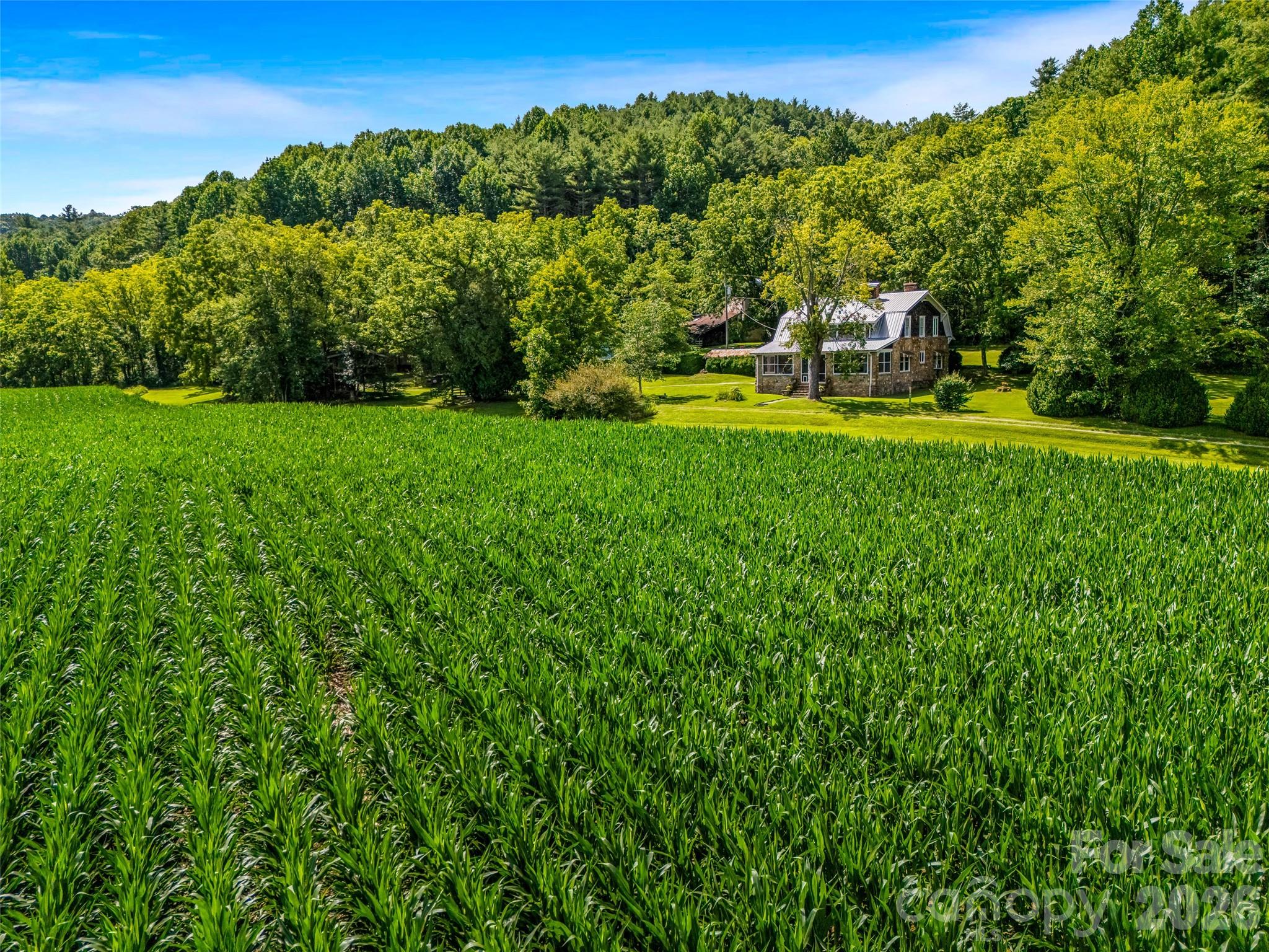 96 Merle Farm Lane