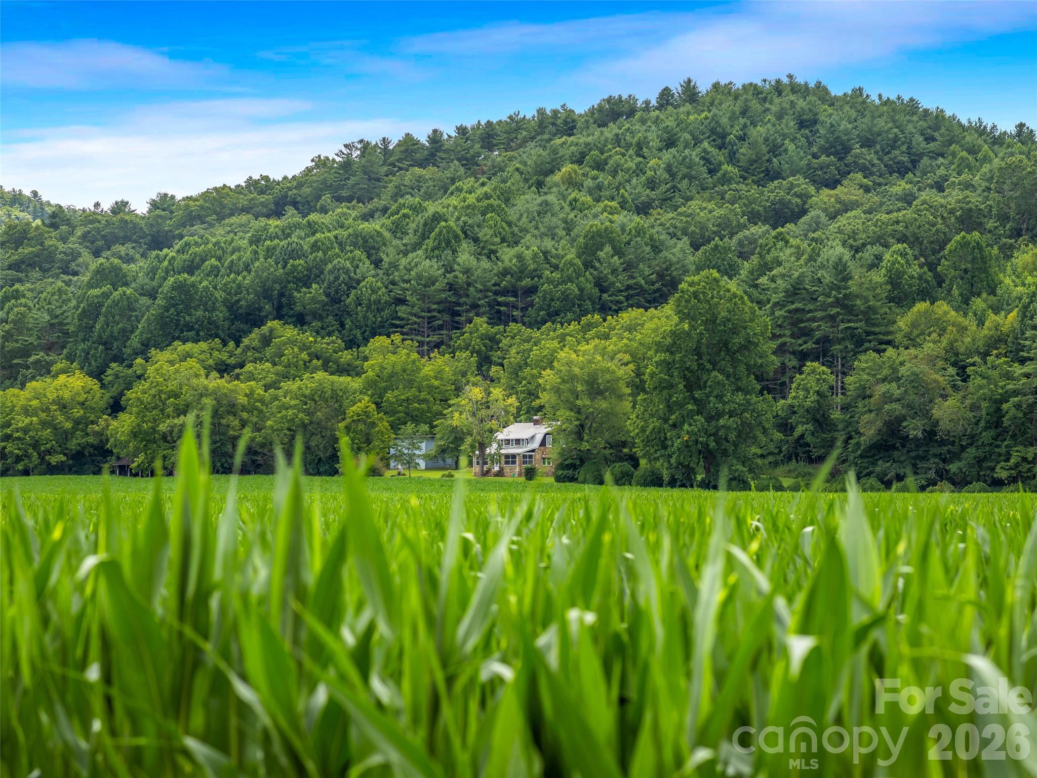 96 Merle Farm Lane