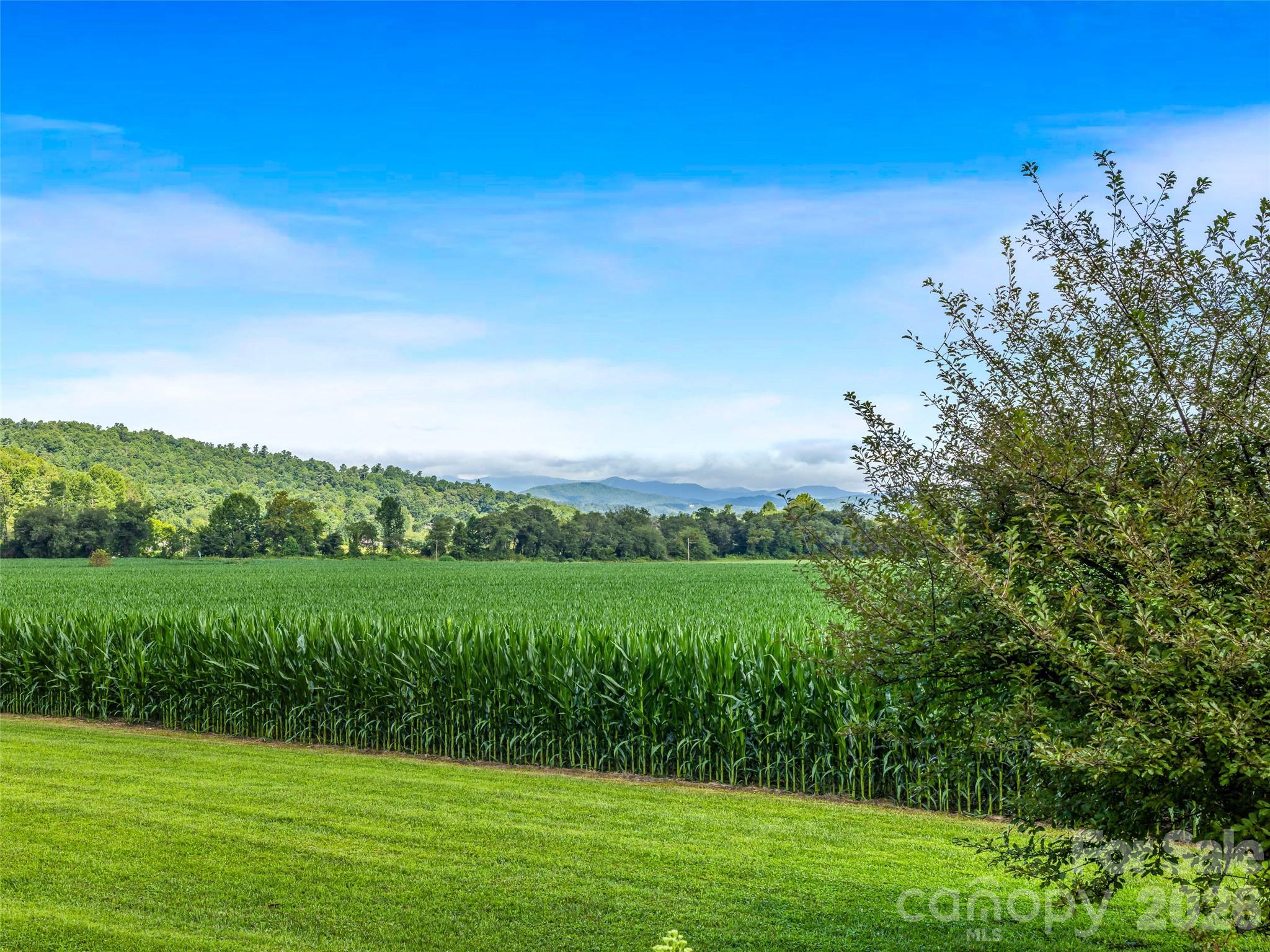 96 Merle Farm Lane
