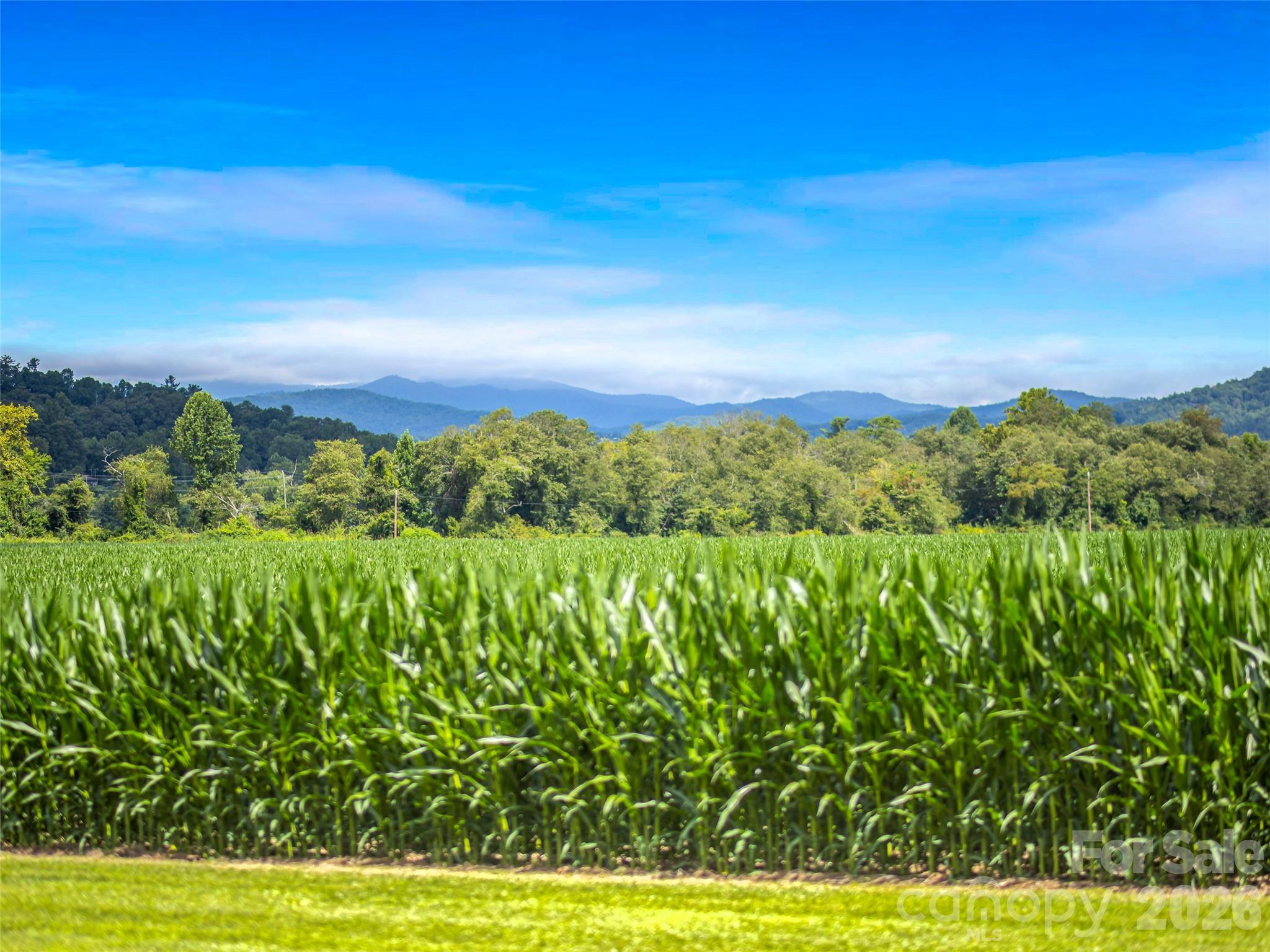 96 Merle Farm Lane