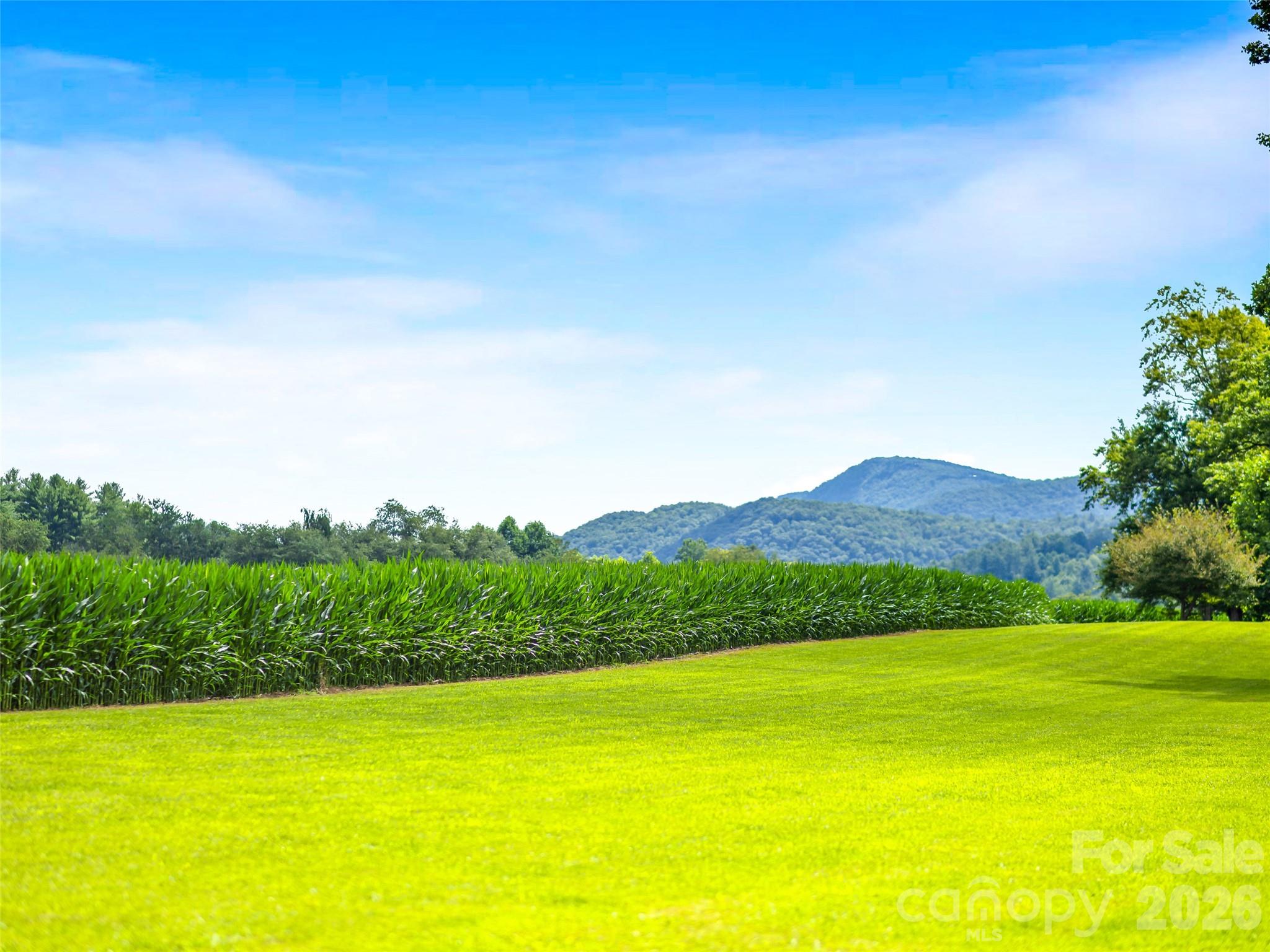 96 Merle Farm Lane