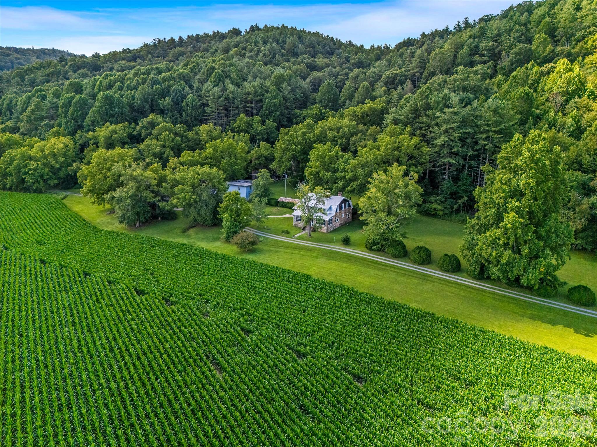 96 Merle Farm Lane