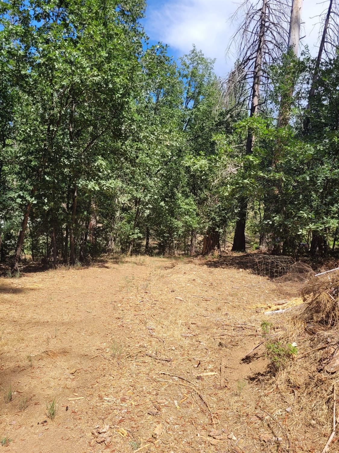 9810 9810 Smith Station Rd