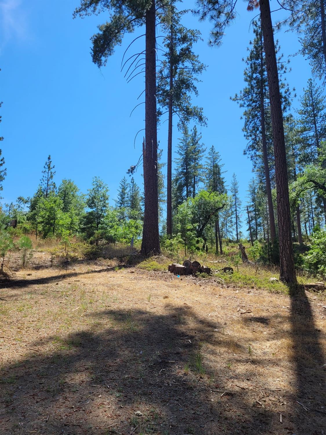 9810 9810 Smith Station Rd