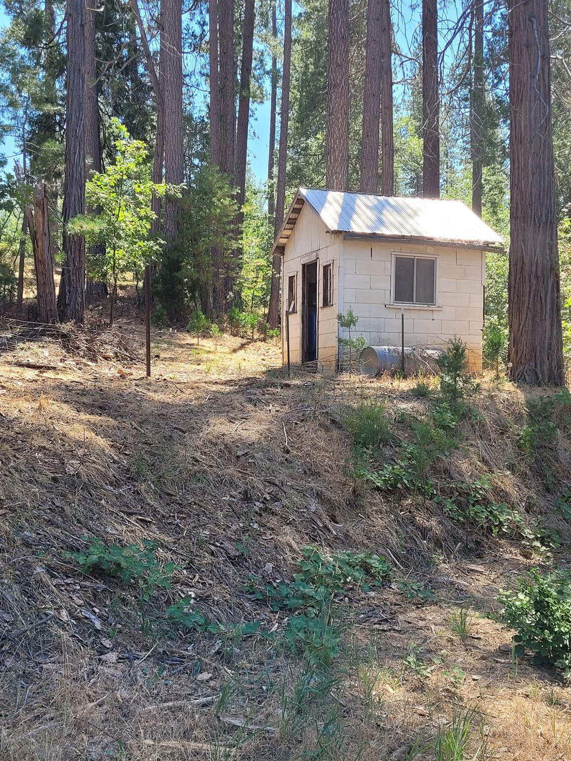 9810 9810 Smith Station Rd