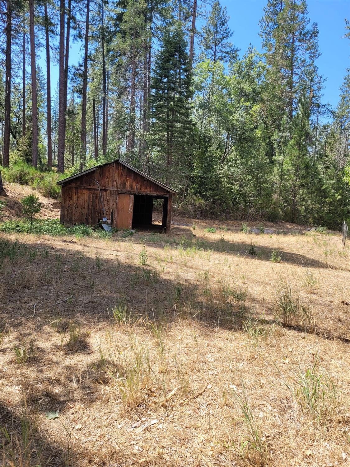 9810 9810 Smith Station Rd