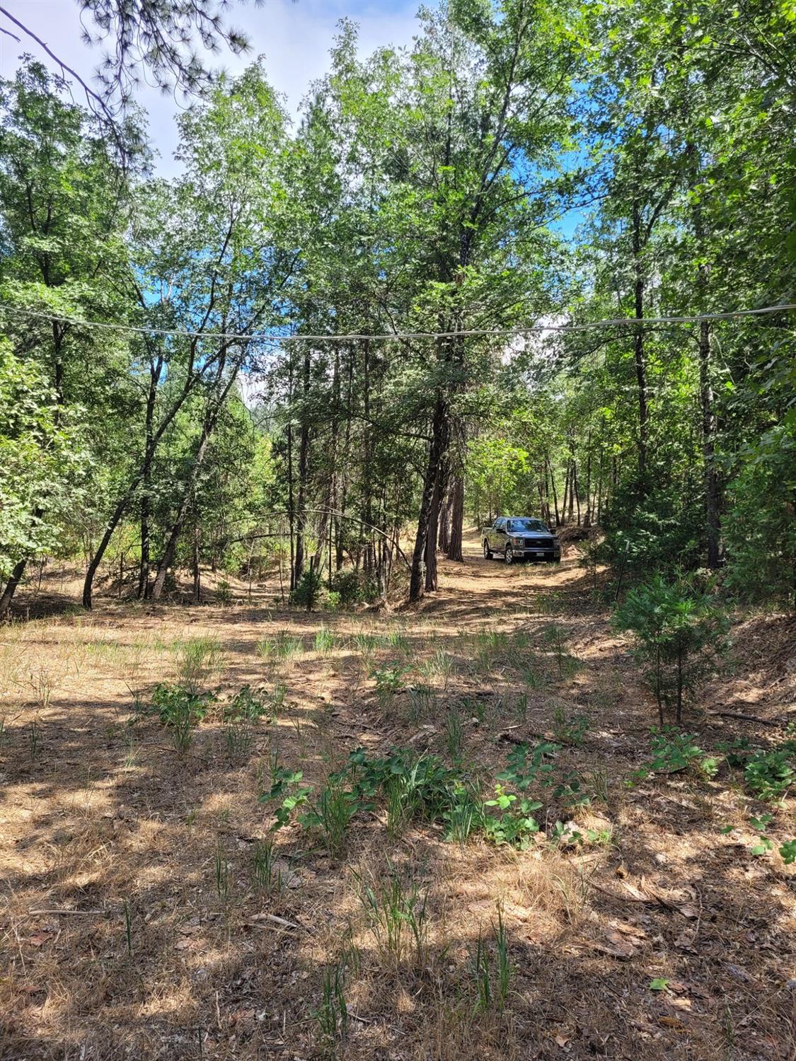 9810 9810 Smith Station Rd